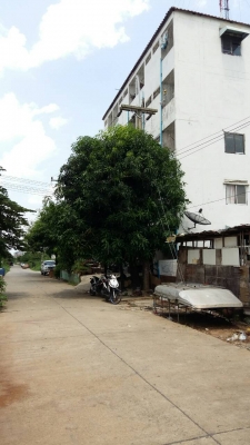 ขายอพาร์ทเม้นท์ 5 ชั้น 80 ตร.ว. 45 ห้อง ลำลูกกา ใกล้บิ๊กซีคลอง 4