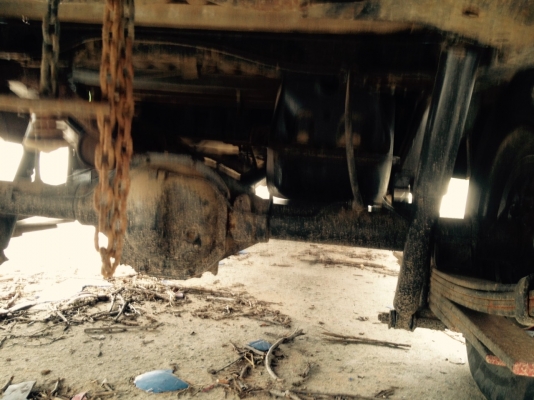 ขาย NINSUN  BIG M TD25