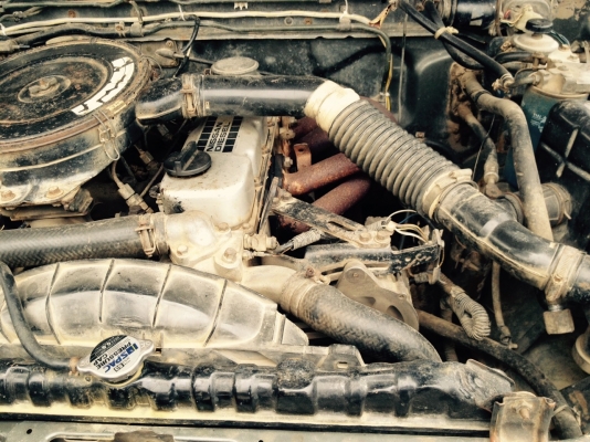 ขาย NINSUN  BIG M TD25