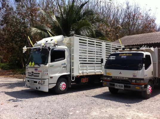 บริการให้เช่าเต็นท์ ทุกชนิดในงานพิธีต่างๆครบวงจร Tel.086-9513852 บริการให้เช่าเต็นท์ ทุกชนิดในงานพิธีต่างๆครบวงจร Tel.086-9513852