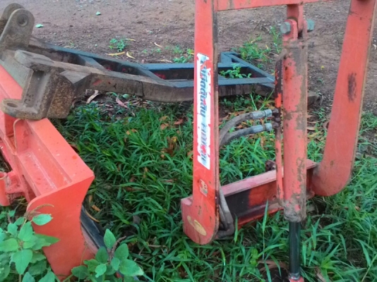 ใบดันตราช้าง36แรงใบสวย ใบดันตราช้าง36แรงใบสวย