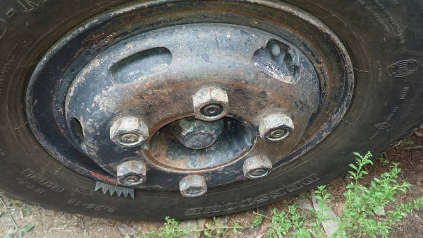 ขาย115 ดั้ม