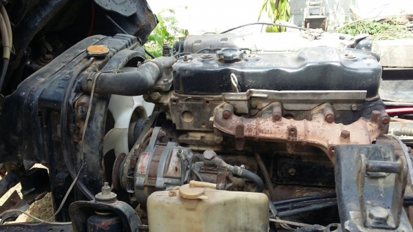 ขาย115 ดั้ม