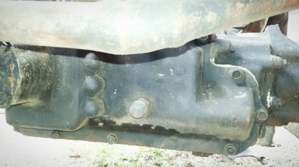 ขาย115 ดั้ม