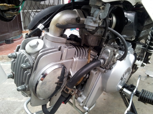 Stallion mini BAJA Stallion mini BAJA