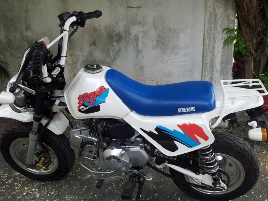 Stallion mini BAJA Stallion mini BAJA