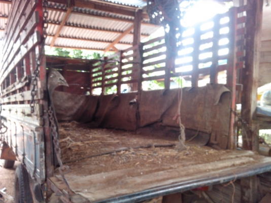 ks 100 แรง รถอยู่อุดรฯ  รถตามภาพ   ราคา  140,000 บาท