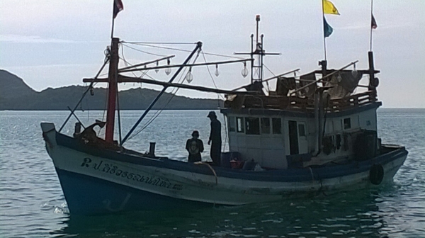 เรือไดหมึก 7 วา 2