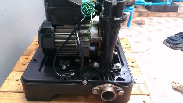 ขายปั้มน้ำ ขายปั้มน้ำ