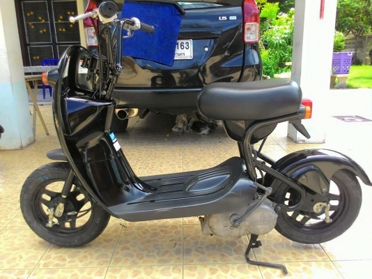 Suzuki Choi Nori