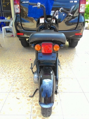 suzuki choi nori