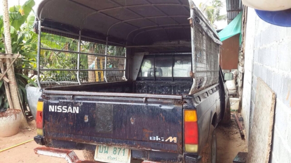 ขาย big M ปี 35