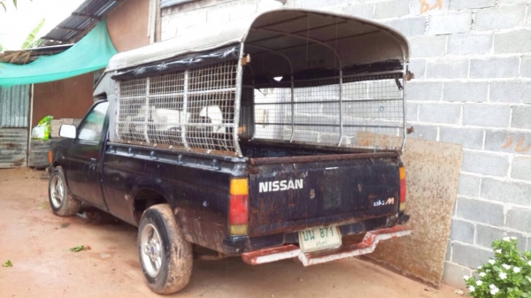 ขาย big M ปี 35