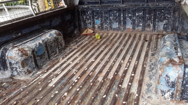 ขาย big M ปี 35