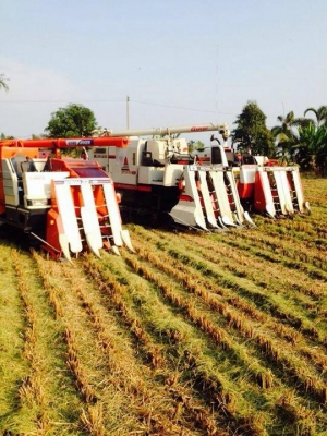 #รถเกี่ยวข้าว KUBOTA #รถเกี่ยวข้าว KUBOTA