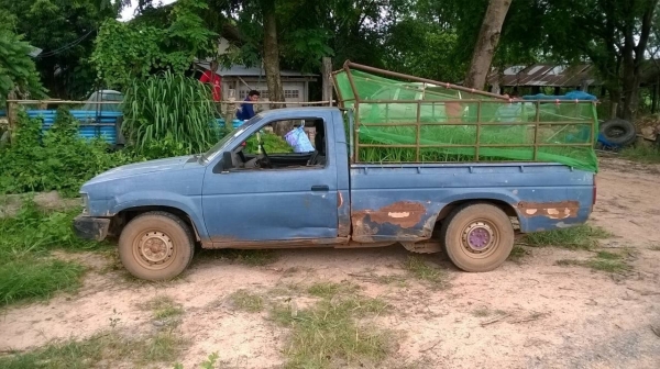 ขายรถกระบะ NISSAN ตอนเดียว วางเครื่อง BD25 ฝาแดงลงเล่มแล้ว ทะเบียนพร้อมโอนครับ