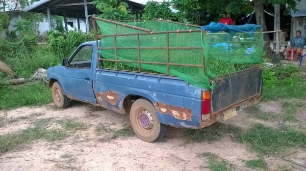 ขายรถกระบะ NISSAN ตอนเดียว วางเครื่อง BD25 ฝาแดงลงเล่มแล้ว ทะเบียนพร้อมโอนครับ