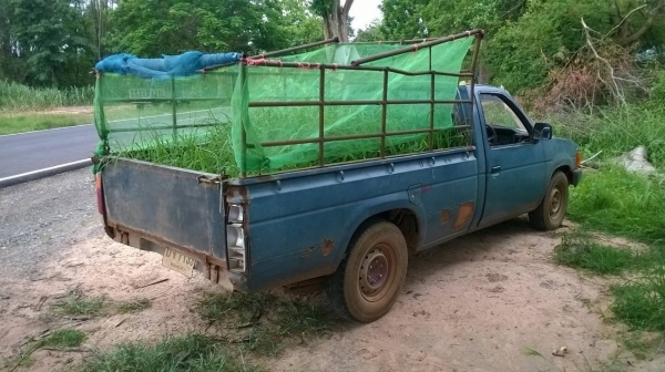 ขายรถกระบะ NISSAN ตอนเดียว วางเครื่อง BD25 ฝาแดงลงเล่มแล้ว ทะเบียนพร้อมโอนครับ