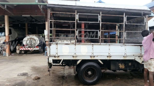 รถบรรทุก 6 ล้อ ISUZU NKR  ขนาด 85 แรงม้า แบบกระบะบรรทุกมีข้างเสริม