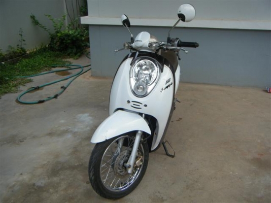 ขาย HONDA SCOOPY I สภาพเยี่ยม ขาย HONDA SCOOPY I สภาพเยี่ยม