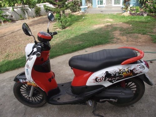 ขาย ฟีโน่