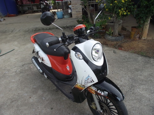 ขาย ฟีโน่