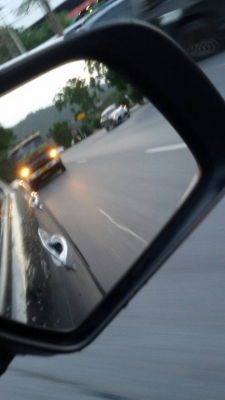 สิบล้อ นิสัน UD CD51P PD6_260 เพาเดียว แคชชีใหญ่เต็ม สภาพดีสวยพร้อมใช้ เอกสารพร้อมโอน ( ราคา 449,000บ)