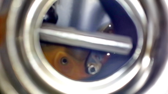 ขายรถมอเตอร์ไซค์ไปรษณีย์ญี่ปุ่น MD50 ปี 2011