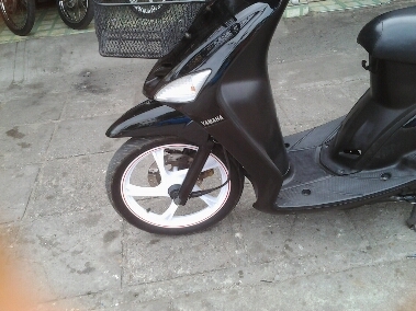 มีโอปี51