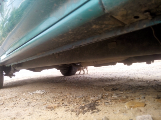 ขายรถกะบะไมตี้แค็ป เครื่องดี คัตซีสวยเดิม หน้าเดิม พร้อมหลังคา