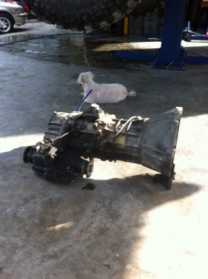 เกียร์pardoสภาพสมบูรณ์ เกียร์pardoสภาพสมบูรณ์