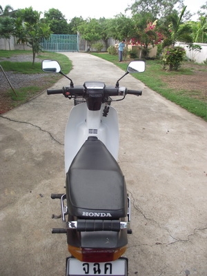 ขาย honda dream