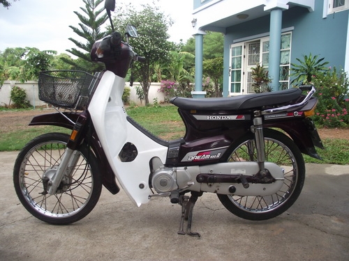 ขาย honda dream