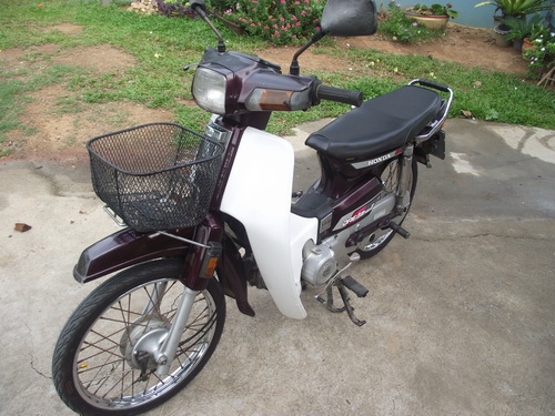 ขาย honda dream