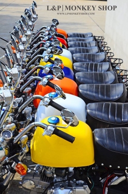 มังกี้ กอลิล่า แต่งๆๆ ลดราคาทุกรุ่นและมีของแถมอีกมากมาย  ด่วนๆๆ ลดๆๆ