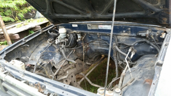 ไมตี้ ปี 96 ทะเบียนขาดปี 56 พร้อมโอน ขาย 25,000 บาท ไมตี้ ปี 96 ทะเบียนขาดปี 56 พร้อมโอน ขาย 25,000 บาท