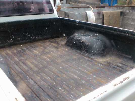 ขายไมตี้แคป 2.5 เครื่องดี พวงลัยเพาเวอ คัดชีสวย ช่วงล่างแน่น แมคลายเนอ 73000บ. ขายไมตี้แคป 2.5 เครื่องดี พวงลัยเพาเวอ คัดชีสวย ช่วงล่างแน่น แมคลายเนอ 73000บ.