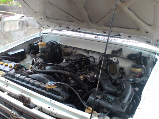 ขายไมตี้แคป 2.5 เครื่องดี พวงลัยเพาเวอ คัดชีสวย ช่วงล่างแน่น แมคลายเนอ 73000บ. ขายไมตี้แคป 2.5 เครื่องดี พวงลัยเพาเวอ คัดชีสวย ช่วงล่างแน่น แมคลายเนอ 73000บ.