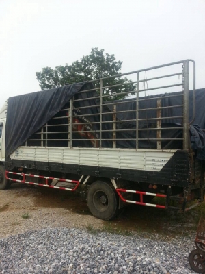 ขายรถ6ล้อรั้ว HINO FC9JJLA ซีรี500 เครื่อง 175แรงม้า ปี52 สนใจโทร 081-970-1072 ขายรถ6ล้อรั้ว HINO FC9JJLA ซีรี500 เครื่อง 175แรงม้า ปี52 สนใจโทร 081-970-1072