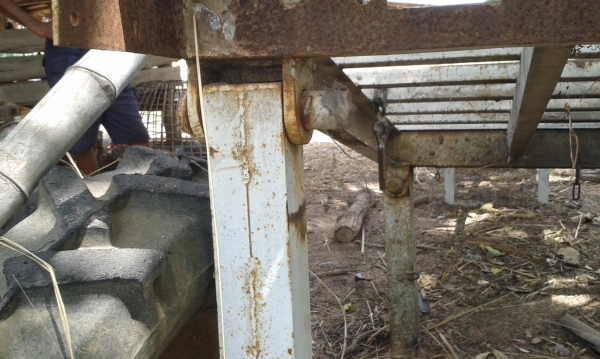 ขอบคุณเฮียรถเกี่ยวจากประโคนชัย