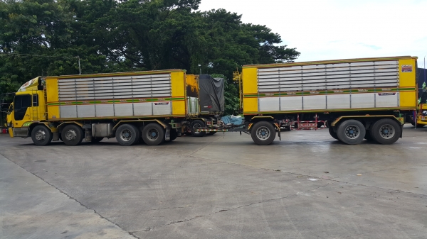 ขายรถพ่วง 24 ล้อ แม่-ลูก กระบะเนียมคอกเกษตรดั้ม อู่.ST HINO PROFIA เครื่อง.K13C-355 คอมมอน์ลเร็ว เกียร์ 7 เกียร์์ เดินหน้า  รถสวยราคาย้อม.1700000 ต่อรอง สนใจรีบจองด่วน