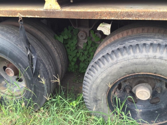 18 ล้อหัวลาก 2 เพลาและหางพื่้นเรียบ 2 คาน 290 แรง รถสภาพสวย พร้อมใช้ ยางสภาพดี