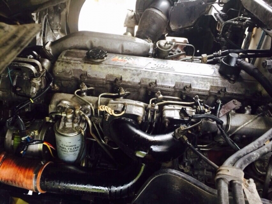 ขาย ฮีโน่ โปรเฟียบรรทุกห้องเย็น