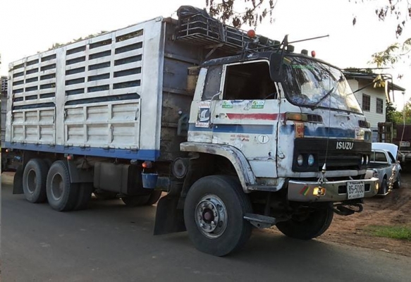 **675,000 บ.ต่อรอง/// ISUZU JUMBO เครื่อง270แรง **ขาย ISUZU JUMBO 270แรง 10ล้อ2เพลา ล่อง/ไม่ดั้ม ISUZU JUMBO คัสซี351xx วางเครื่องDECA 6SD1 Turbo 270แรง เกียร์GIGA (ลงเล่ม) เครื่องดี แน่นดี แรง เกียร์ดีไม่หลุด ช่วงล่างใหญ่ แน่น คัสซีใหญ่ ไม่ผุ คานหน้าใหญ่ **675,000 บ.ต่อรอง/// ISUZU JUMBO เครื่อง270แรง **ขาย ISUZU JUMBO 270แรง 10ล้อ2เพลา ล่อง/ไม่ดั้ม ISUZU JUMBO คัสซี351xx วางเครื่องDECA 6SD1 Turbo 270แรง เกียร์GIGA (ลงเล่ม) เครื่องดี แน่นดี แรง เกียร์ดีไม่หลุด ช่วงล่างใหญ่ แน่น คัสซีใหญ่ ไม่ผุ คานหน้าใหญ่