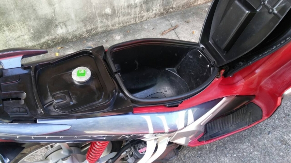 นูโวอิลิแกนซ์135ตัวtop 17,500 นูโวอิลิแกนซ์135ตัวtop 17,500