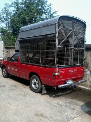 ขาย isuzu ตอนเดียว ปี 97