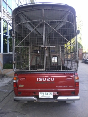 ขาย isuzu ตอนเดียว ปี 97