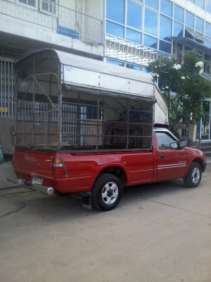 ขาย isuzu ตอนเดียว ปี 97