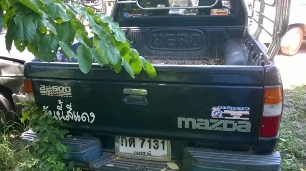 ขาย MAZDA Fighter 2.5 4X4 ปี 2000/2543 คัสซีสวยตลอดเส้น เครื่องดี กระจกไฟฟ้า แอร์ พาวเวอร์ ทะเบียนพร้อมโอน