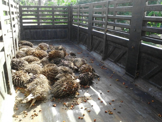 รถมิตซู 10 ล้อ หัวลาก FN527 - TC  /  220  แรงม้า.  ( ขาย แม่ , ลูก. )        สนใจติดต่อ  081 - 6079515